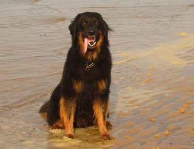 carlos1
