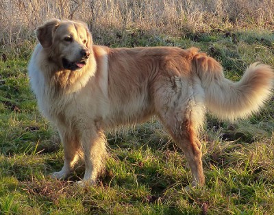 P1000066